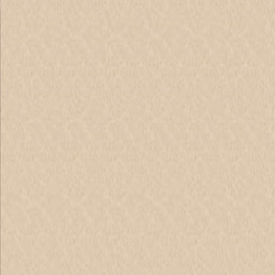 Treefrog Veneer 62807 Silver Ash Figured - scale 4x8