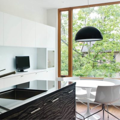 Treefrog Veneer 62016 Macassar Black and White Groove - kitchen cabinets